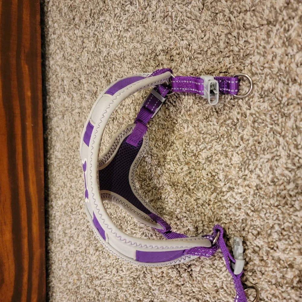 Purple and Gray Small Dog Harness